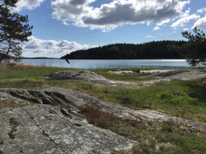 5 jours à la découverte de Stockholm : Voyage au cœur de la capitale suédoise