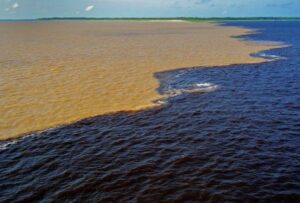 Immersion à Manaus au cœur de l’Amazonie