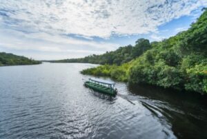 Immersion à Manaus au cœur de l’Amazonie