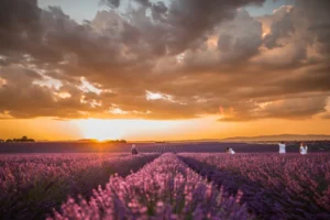 5 coins secrets pour admirer un coucher de soleil en Provence