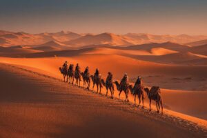 Découvrez les Secrets Cachés du Désert de Gobi en Mongolie : Aventure Inoubliable!